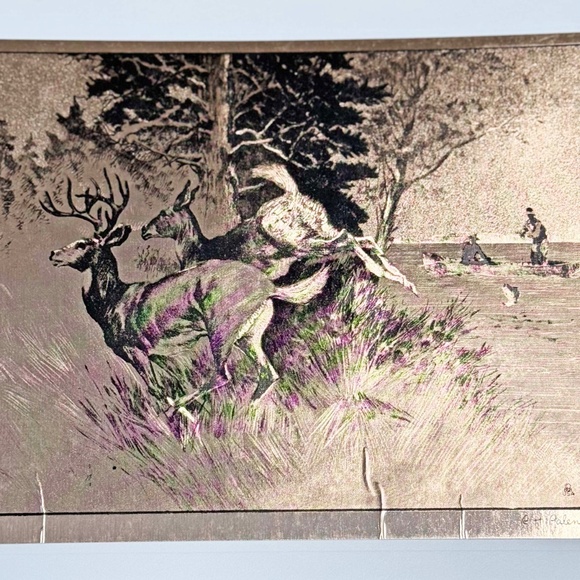 PRINTS, COPPER ETCHED, SET OF 4, BY R.H. PALENSKE, WILD ANIMALS, IN PRESENTATION - Picture 7 of 9